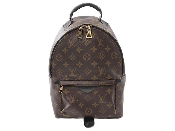 Zaino Palm Springs PM di Louis Vuitton Marrone Nero