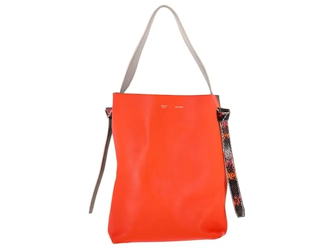 Edge Céline Borsa tote piccola Celine in pelle multicolore