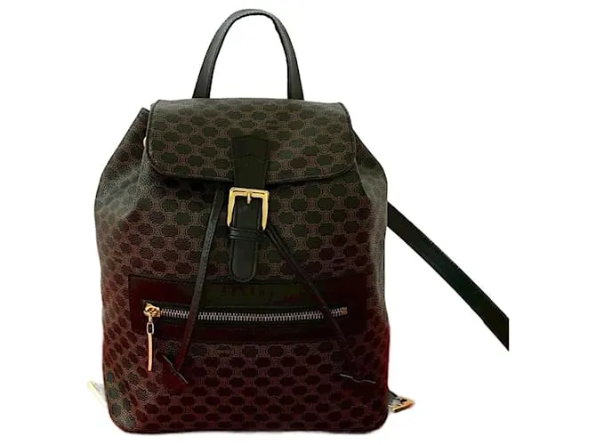 Céline Zaino in pelle Blazon Triomphe di Celine Macadam Nero