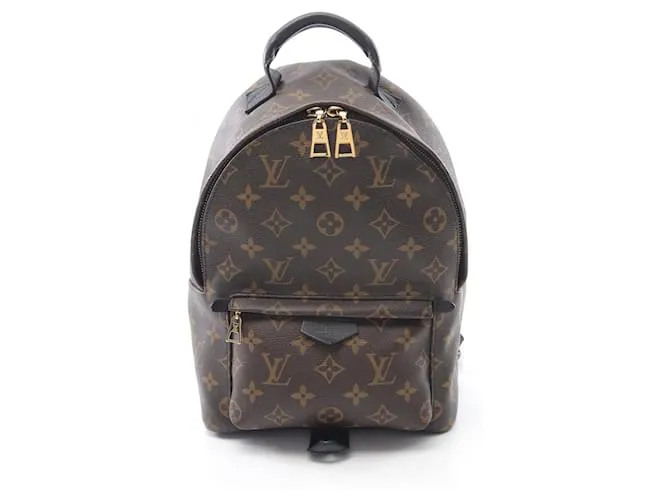 Zaino Palm Springs PM in tela rivestita Monogram Louis Vuitton Marrone