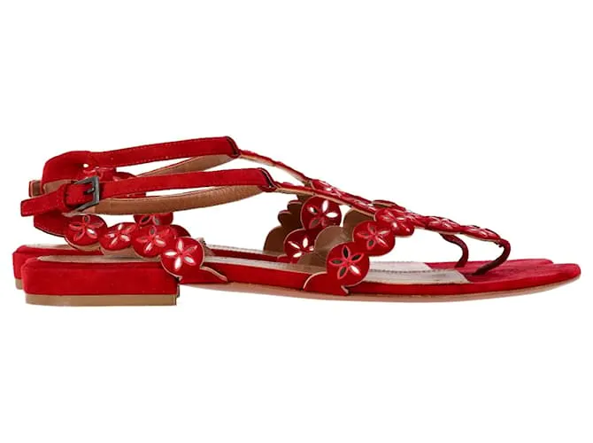 Sandali flat con cinturino alla caviglia in suede rosso con taglio laser Alaïa Flower Bordò