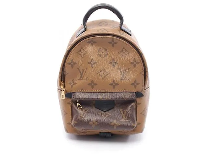 Zaino Palm Springs Mini Monogram di Louis Vuitton Marrone