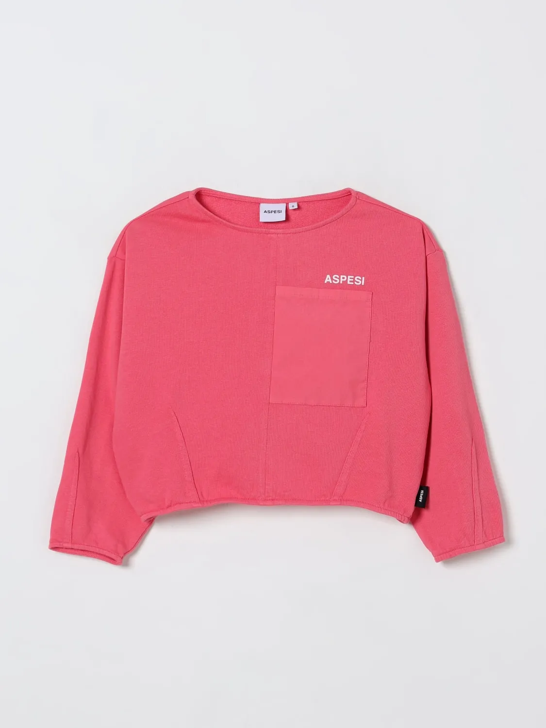 Felpa a girocollo in cotone Aspesi