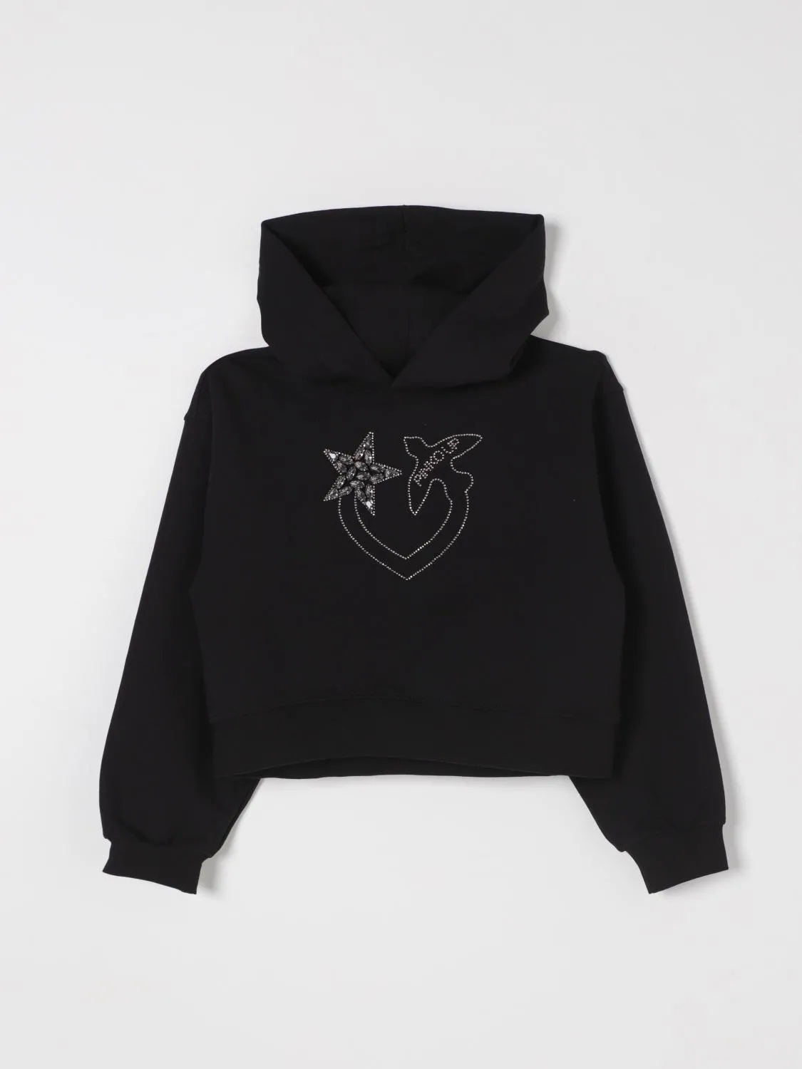 Felpa con cappuccio Pinko